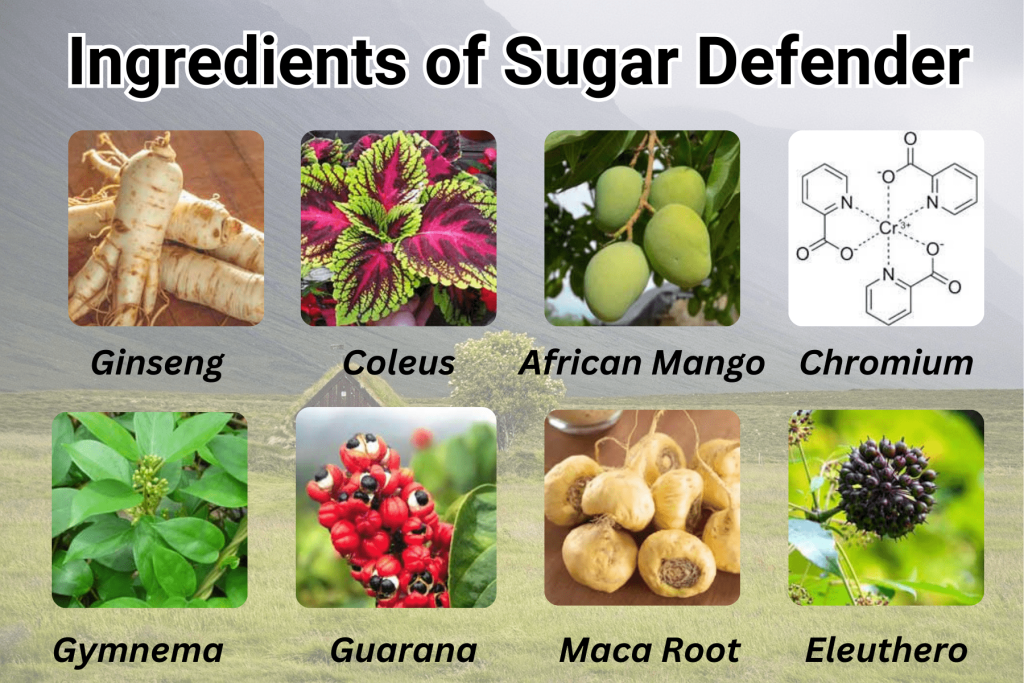 Sugar Defender Review