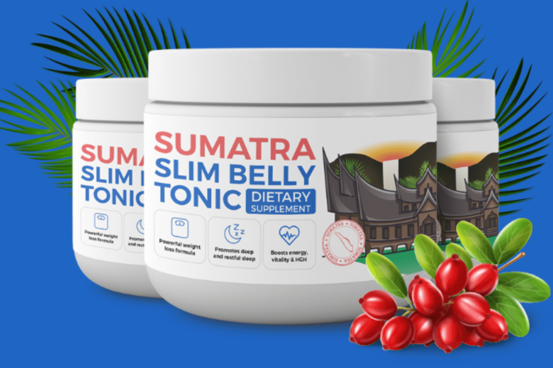 Sumatra Slim Belly Tonic Review, natural weight loss Drink