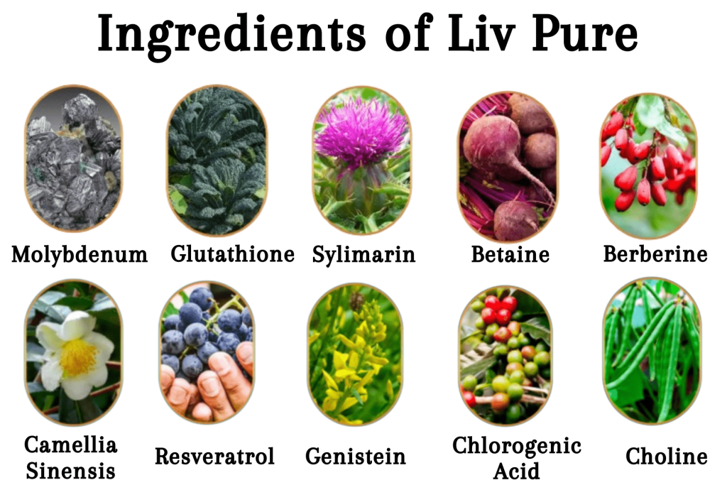 Liv Pure Review