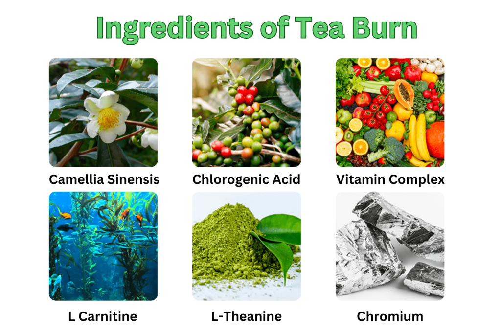 Tea Burn Review