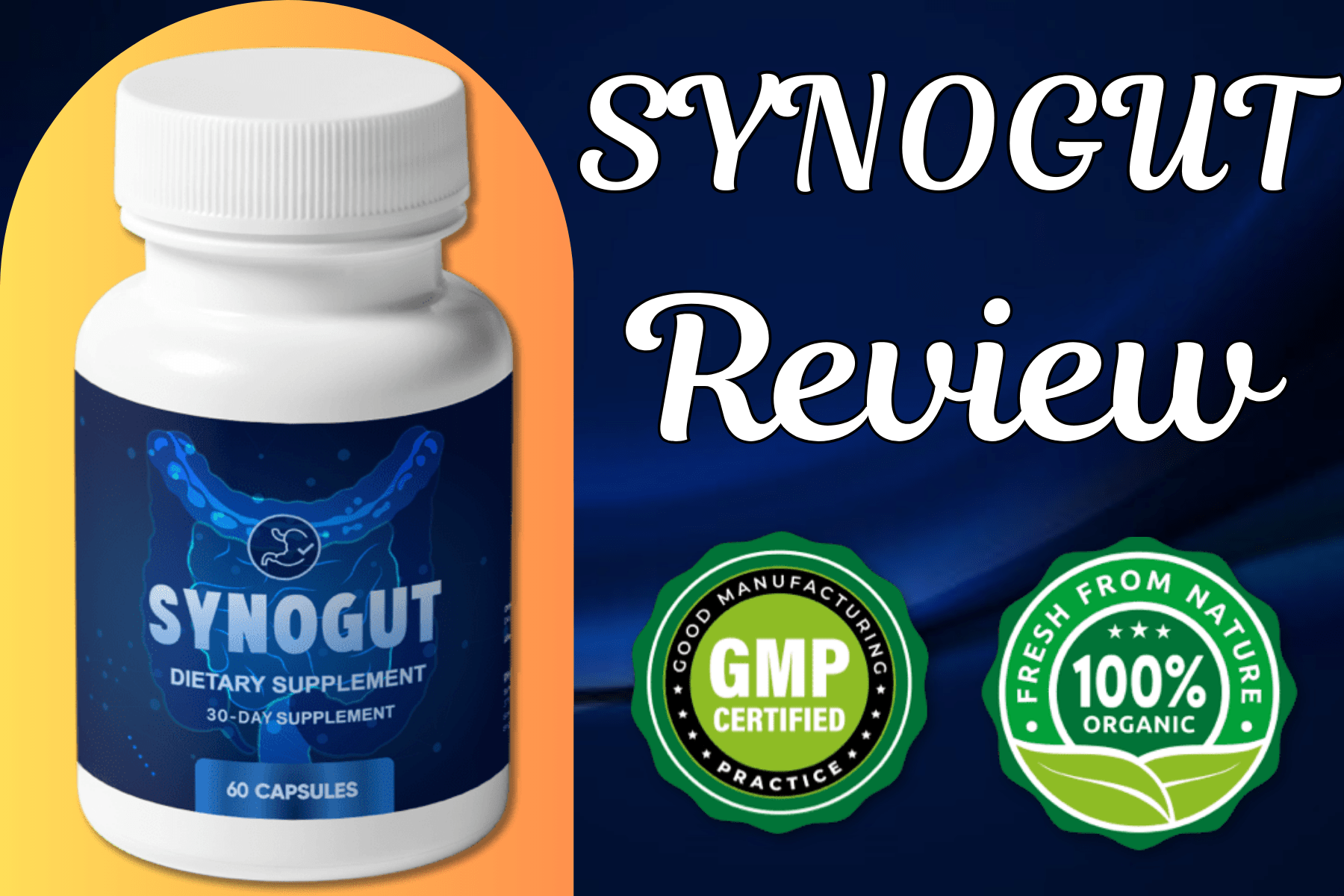 Synogut Review