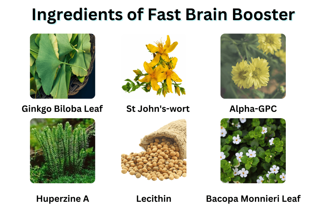 Fast Brain Booster review