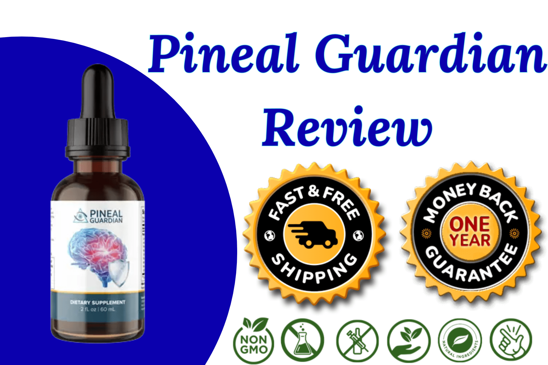 Pineal Guardian Review