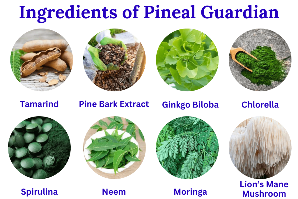 Pineal Guardian Review